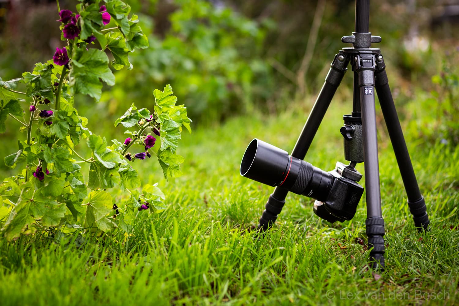 5 veelgemaakte fouten bij productfotografie (en de oplossing)